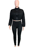 Casual High-waisted Trousers And Zipper Cropped Jacket Two Pieces Sport SH-391438