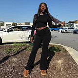 Solid Color Crew Neck Pullover Crop Top and High-waisted Flared Pants Set XYWL-25ST393