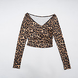 Leopard Print Off-shoulder Deep V-neck High-waisted Straight Leg Pants Suit XYWL-25ST311