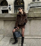 2025 Brown Fur Coat Short Lapel Jacket  ZNFR-15455