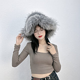 Warm Raccoon Fur Thickened Wide-brimmed Hat HES-4900