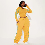Autumn/Winter Round Neck Pullover Printed Top and Elastic Drape High Waist Straight Leg Pants Set XYWL-25ST398