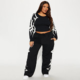 Autumn/Winter Round Neck Pullover Printed Top and Elastic Drape High Waist Straight Leg Pants Set XYWL-25ST398