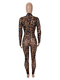 Sexy and Stylish Mesh Leopard Print See-through Long-sleeved Bodysuit SHD-9578