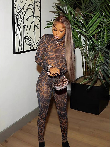 Sexy and Stylish Mesh Leopard Print See-through Long-sleeved Bodysuit SHD-9578