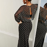 Stylish and Elegant Polka Dot Print Round Neck Long-sleeved Mesh Dress ZJQD-86532