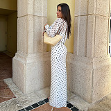Stylish and Elegant Polka Dot Print Round Neck Long-sleeved Mesh Dress ZJQD-86532