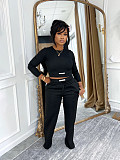 Stylish Autumn/Winter Solid Color Comfortable Sporty Casual Hoodie Set PMR-824