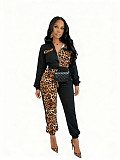 2025 Fashion Leopard Print Patchwork Color-Blocked Set CM-9538