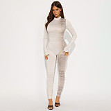 Stylish Snake Print Round Neck Long-sleeved Jumpsuit With Zipper Closure and Bodycon Fit XYWL-25JP427