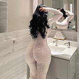 Stylish Snake Print Round Neck Long-sleeved Jumpsuit With Zipper Closure and Bodycon Fit XYWL-25JP427