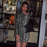 2025 New Arrival Sexy Snake Print High-Waisted Slim-Fit Bodycon Mini Dress SXE-88545