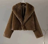 Autumn/Winter Faux Fox Fur Short Women's Fur Coat with Half-Open Collar ZNFR-91831