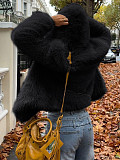 2025 Autumn/Winter Elegant and Stylish Fluffy Long-Sleeved Coat LDG-37011