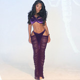 2025 Autumn/Winter Strapless Top and High-Waisted Patchwork Sheer Skirt Set SXE-84905