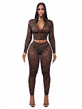 Sexy High-neck Zip-up Crop Top and Tight-fitting Long Pants Two-piece Set PMR-831