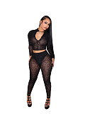 Sexy High-neck Zip-up Crop Top and Tight-fitting Long Pants Two-piece Set PMR-831