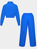 Stylish Woven Two-piece Set Featuring A Color-blocked Top and Wide-leg Trousers RS-391427