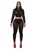 Sexy High-neck Zip-up Crop Top and Tight-fitting Long Pants Two-piece Set PMR-831