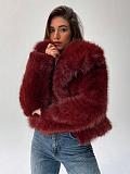 Autumn/Winter Faux Fur Short Fox Fur Coat ZNFR-395