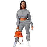 Autumn/Winter Fleece-lined Hooded Sweatshirt Casual Two-Piece Set RS-L279
