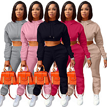 Autumn/Winter Fleece-lined Hooded Sweatshirt Casual Two-Piece Set RS-L279