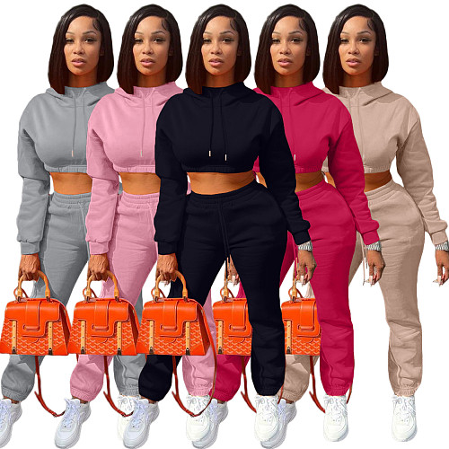 Autumn/Winter Fleece-lined Hooded Sweatshirt Casual Two-Piece Set RS-L279