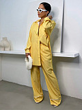 Stylish Striped Lapel Long-sleeved Shirt and Elastic Waist Trousers Set RS-T063