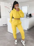 Autumn/Winter Fleece-lined Hooded Sweatshirt Casual Two-Piece Set RS-L279
