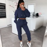 Autumn/Winter Fleece-lined Hooded Sweatshirt Casual Two-Piece Set RS-L279