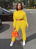 Autumn/Winter Fleece-lined Hooded Sweatshirt Casual Two-Piece Set RS-L279