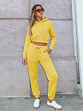 Autumn/Winter Fleece-lined Hooded Sweatshirt Casual Two-Piece Set RS-L279