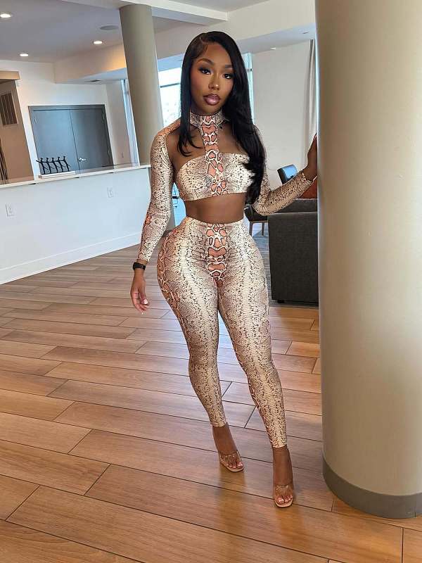Sexy Leopard Print Cutout Patchwork Slim-fit Short Top and Long Pants Set XS-1924