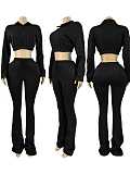 2025 Fashion Half-Zip Cropped Fleece Sweatshirt and Flared Pants Two-Piece Set CH-25069