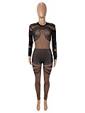 Sexy Mesh Irregular Stripe Print See-Through Long-Sleeved Bodysuit SHD-9564