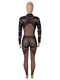Sexy Mesh Irregular Stripe Print See-Through Long-Sleeved Bodysuit SHD-9564