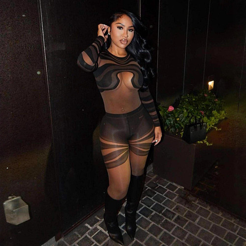 Sexy Mesh Irregular Stripe Print See-Through Long-Sleeved Bodysuit SHD-9564