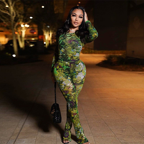 Fashion Mesh Printed Round Neck Long-Sleeved Fitted Top and Pants Casual Set YYI-9224
