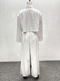 2026 Fashion Lapel Long-Sleeved Striped Shirt and Straight-Leg Trousers Two-Piece Set QZ-5176