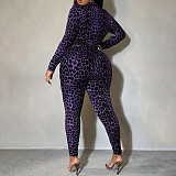 Fashionable Leopard Print Long-Sleeved Top and High-Waisted Pants Two-Piece Set RS-VC048