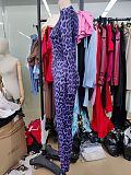Fashionable Leopard Print Long-Sleeved Top and High-Waisted Pants Two-Piece Set RS-VC048