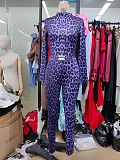 Fashionable Leopard Print Long-Sleeved Top and High-Waisted Pants Two-Piece Set RS-VC048