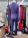 Fashionable Leopard Print Long-Sleeved Top and High-Waisted Pants Two-Piece Set RS-VC048