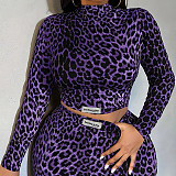 Fashionable Leopard Print Long-Sleeved Top and High-Waisted Pants Two-Piece Set RS-VC048