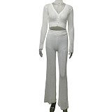 New Solid Color Knitted Sheer Hollow-Out Long-Sleeved Top and High-Waisted Pants Set RS-2102