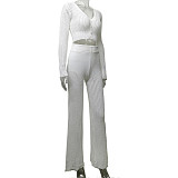 New Solid Color Knitted Sheer Hollow-Out Long-Sleeved Top and High-Waisted Pants Set RS-2102