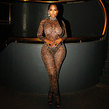 Sexy Leopard Print Mesh High-Neck Long-Sleeve Jumpsuit and Leggings Set RS-25ST200