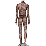 Sexy Leopard Print Mesh High-Neck Long-Sleeve Jumpsuit and Leggings Set RS-25ST200