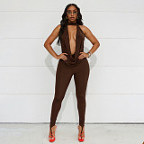 2026 Solid Color Halter Neck Backless Tie-Neck Top and Toe Ring Pants Two-Piece Set RS-26ST020