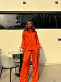 2026 Fashionable Lapel Button-Down Fur Sleeve Solid Color Shirt and Trousers Set QZ-8303